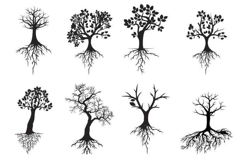 как нарисовать дерево - создание эскиза